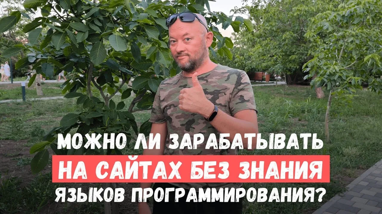 Можно ли зарабатывать на сайтах без знания языков программирования?